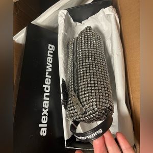 New in box Alexander Wang Crystal pouch